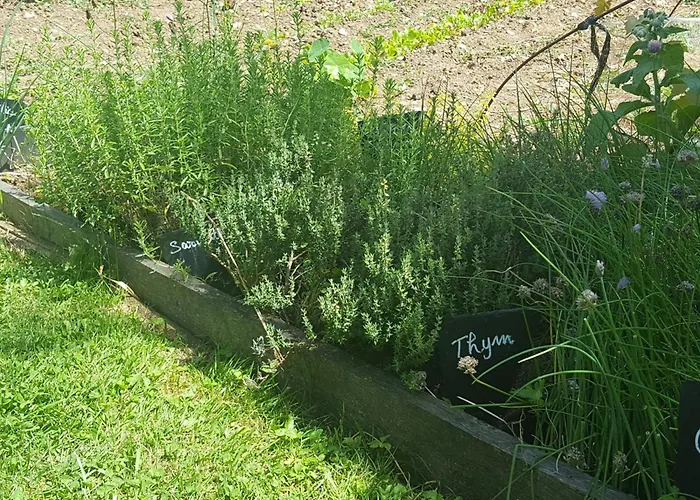 Meilleurs hôtels à Tourtoirac, charmant village