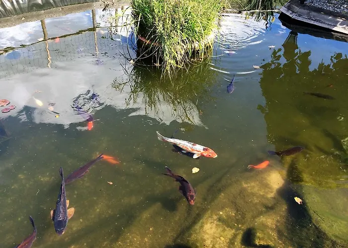 Excellence des hôtels Hautefond