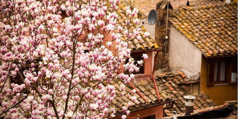 fioritura-in-italia